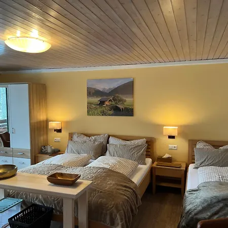 Guest house Fruehstueckspension Gsenger 3*