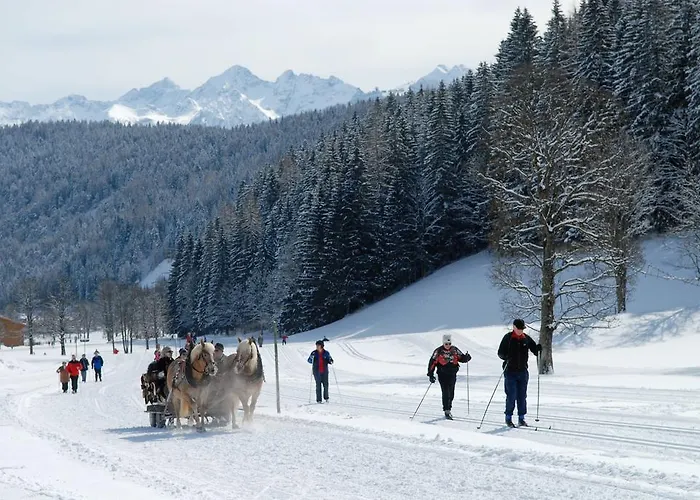 Guest house Fruehstueckspension Gsenger 3*